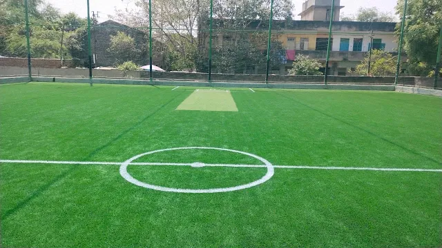 Turf photo 5