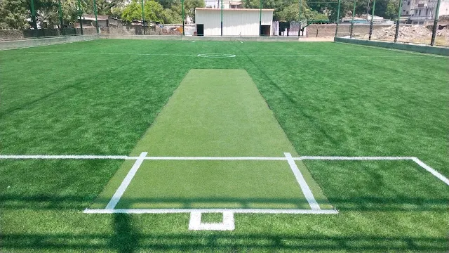 RP's Turf