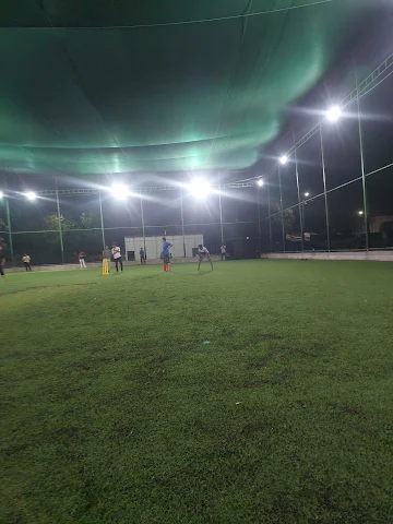 Turf photo 4