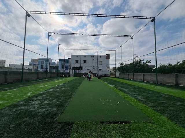 Turf photo 6