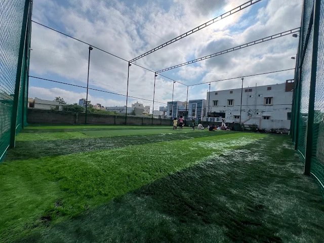 Turf photo 8