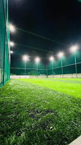Turf photo 4