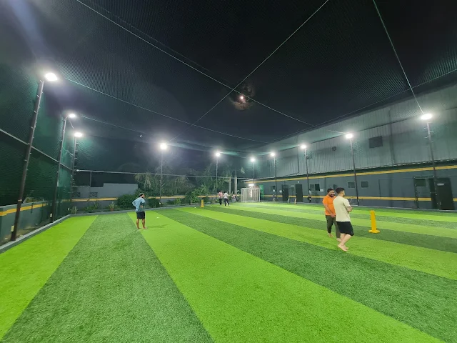 Turf photo 3