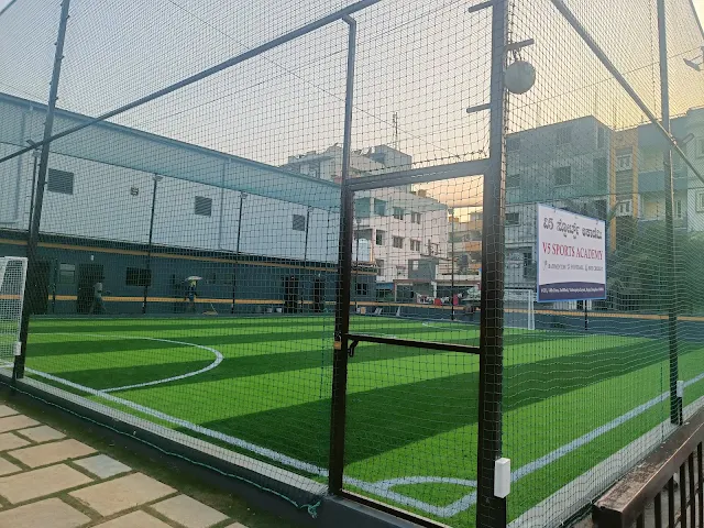 Turf photo 5