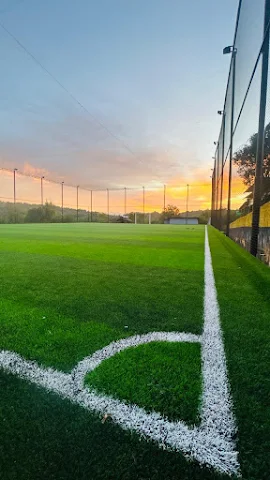 Turf photo 3