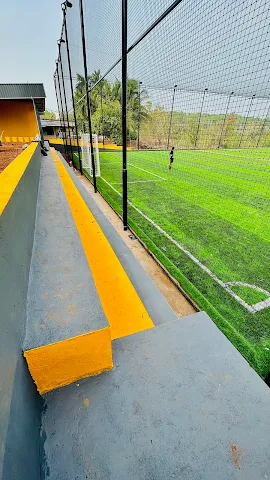 Turf photo 4