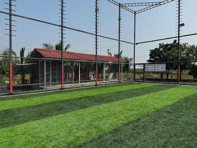 Turf photo 4