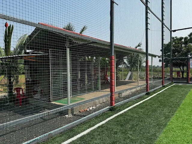 Turf photo 3