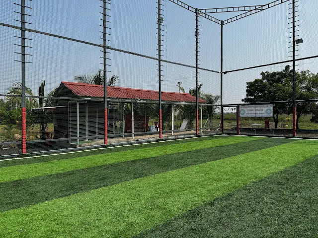 Turf photo 5