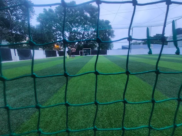 Turf photo 3