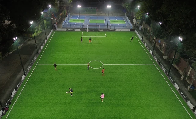 Turf photo 2