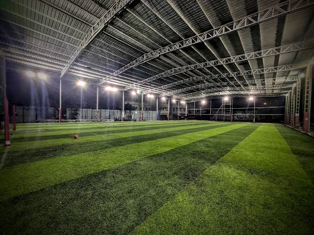 Turf photo 3