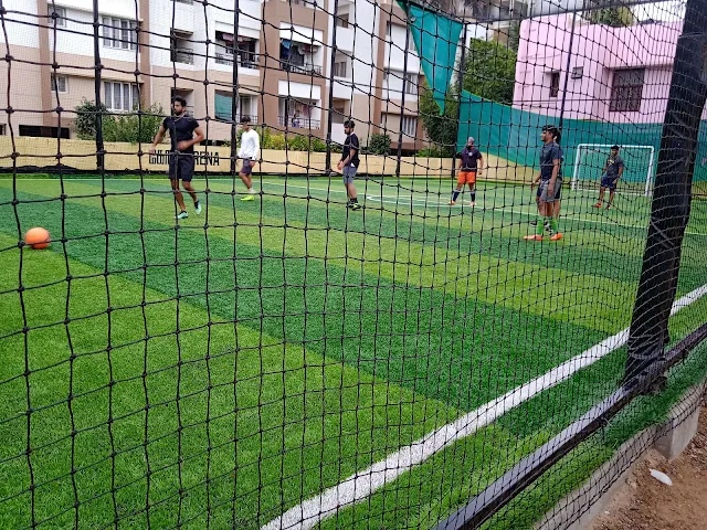 Turf photo 5