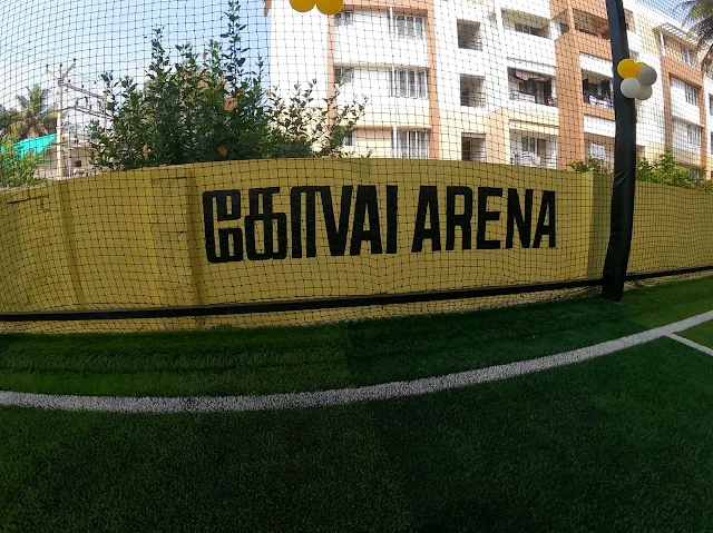Turf photo 2