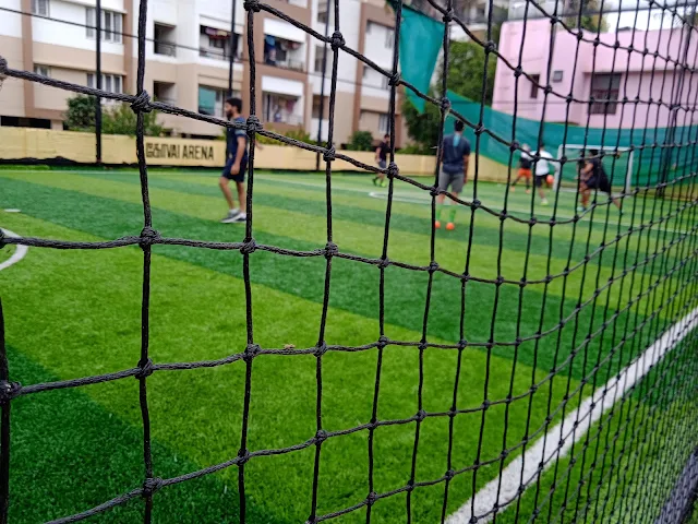 Turf photo 3