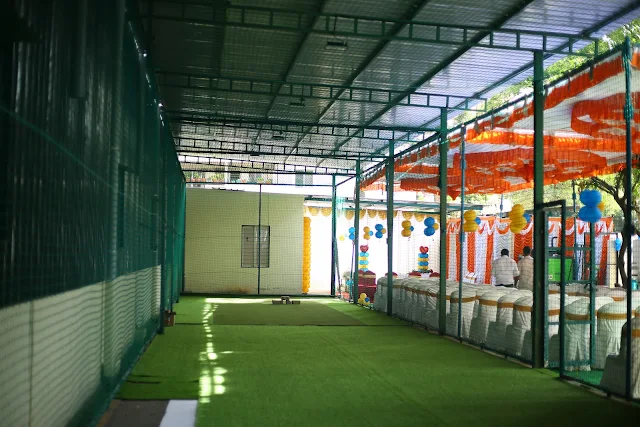 Turf photo 4