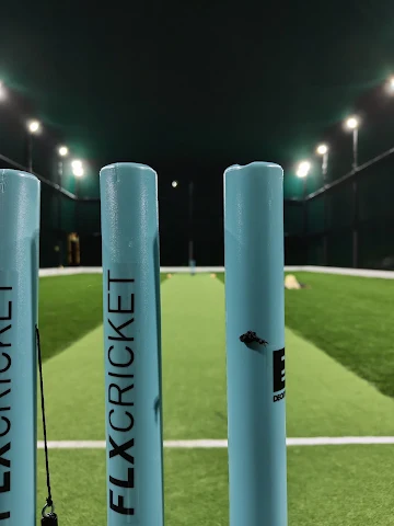 Turf photo 6
