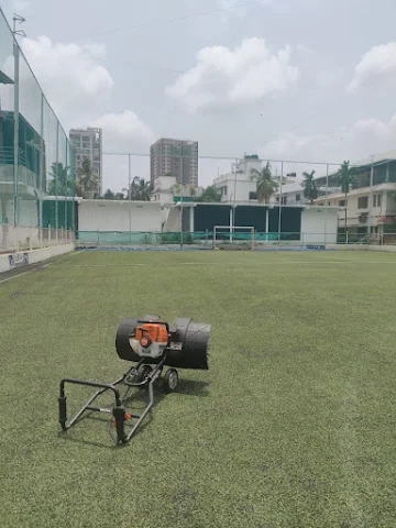 Turf photo 3