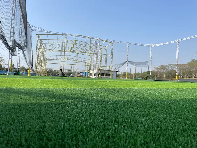 Turf photo 12