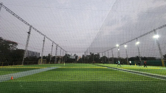 Turf photo 10