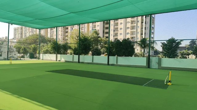 Turf photo 2