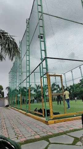 Turf photo 2