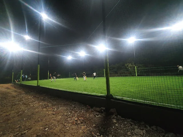 Turf photo 9