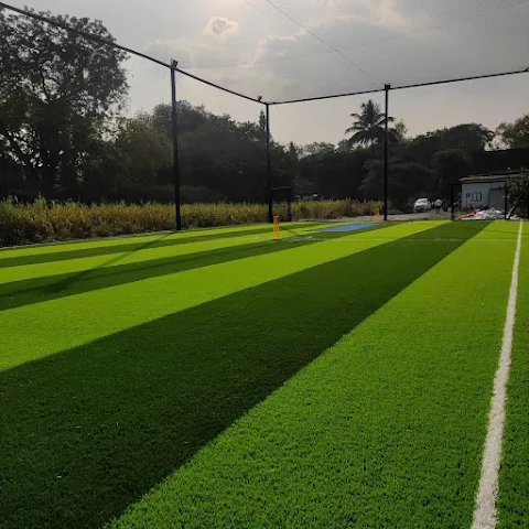 Turf photo 10