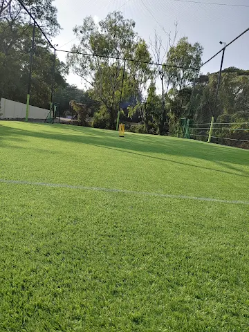 Turf photo 12