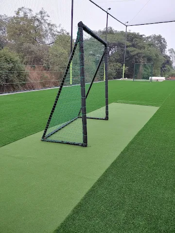 Turf photo 8
