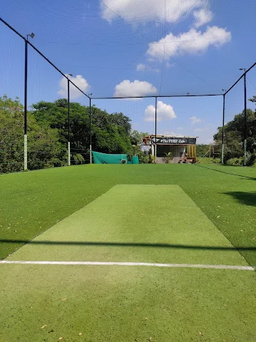 Turf photo 11