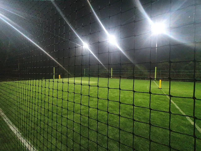 Turf photo 5