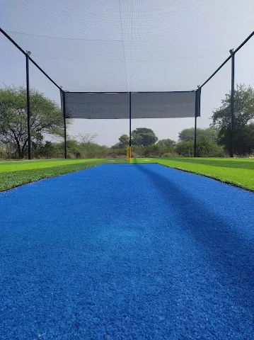 Turf photo 4