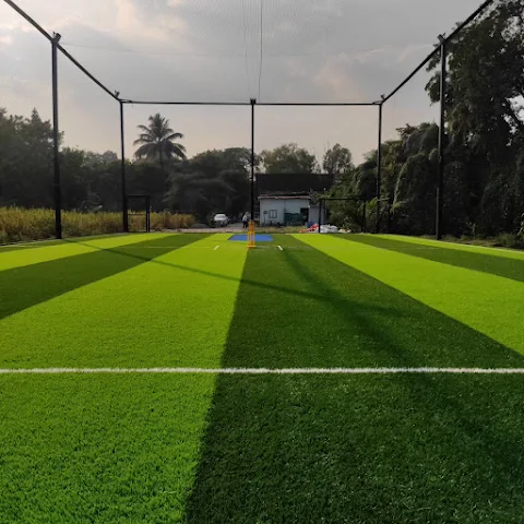 Turf photo 3
