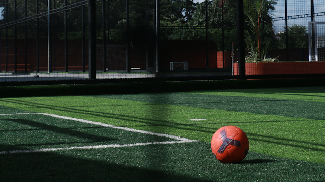 Turf photo 2