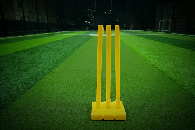 Turf photo 3