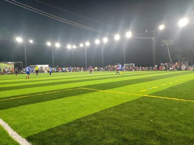 Turf photo 2