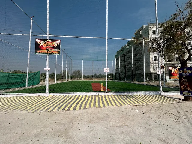 Turf photo 8