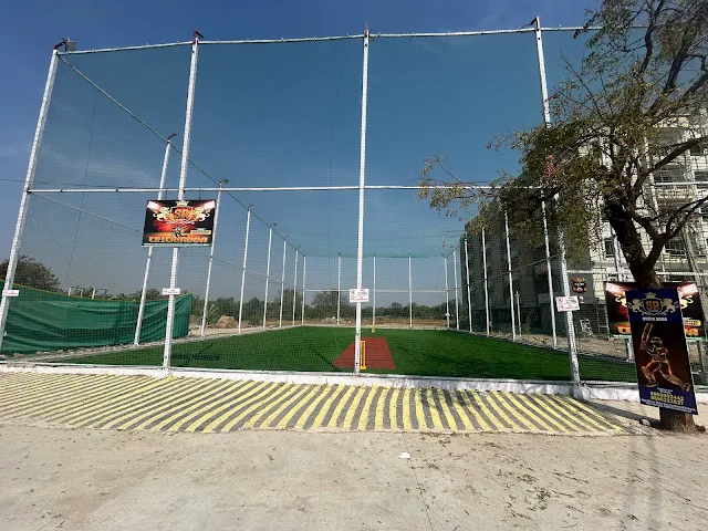 Turf photo 2