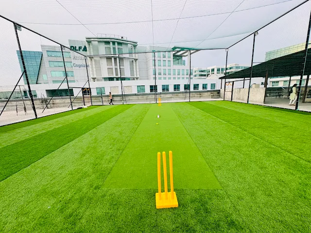 Turf photo 3