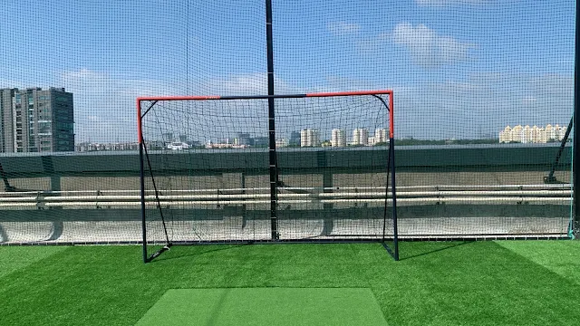 Turf photo 2