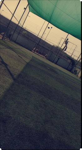 Turf photo 8