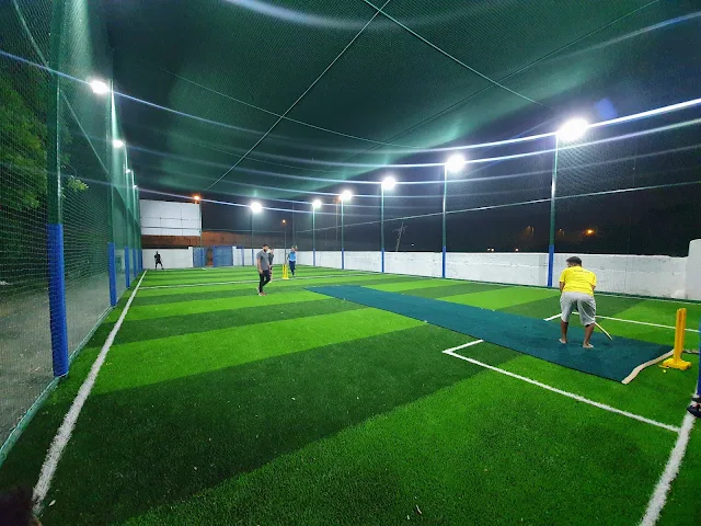 Turf photo 2