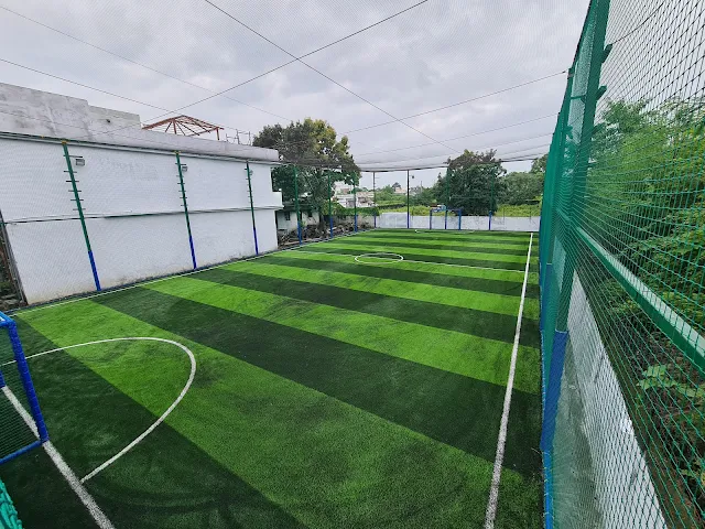 Turf photo 3