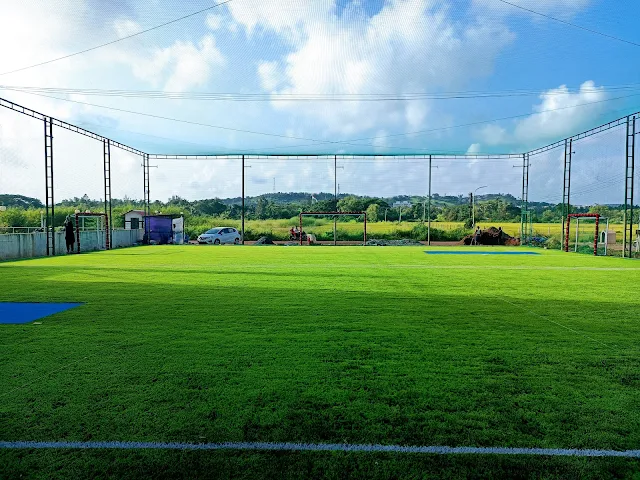 Turf photo 3