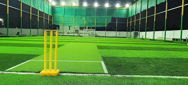Turf photo 2