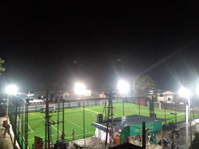 Turf photo 6