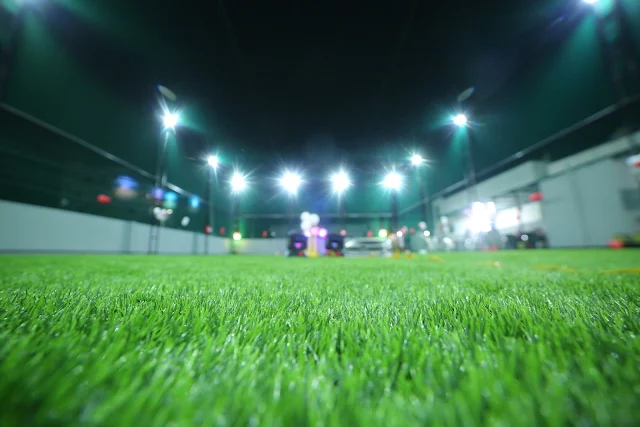 Turf photo 2