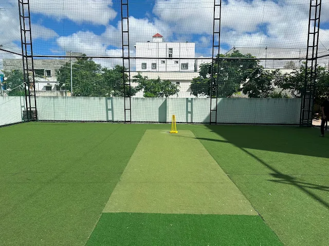 Turf photo 8