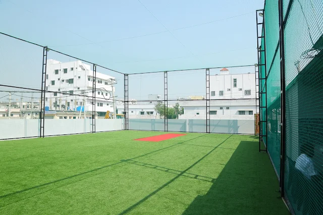 Turf photo 5